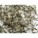 Xue Ya Green Tea ,snow bud White Tea