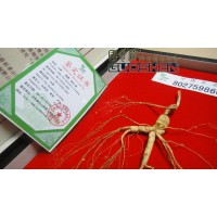 0.35 oz, 100% China Old WILD GINSENG ROOTS Gift box,15 years,ye ren shen 10g