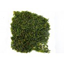  Natural Small Leaf Kuding Tea " Qing Shan Lu Shui " Bitter Tea China Herbal Tea 青山绿水苦丁茶