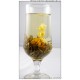 Mo Li Xian Nv, Jasmine Fairy,oriental beauty,  Blooming Flowering Flower Tea