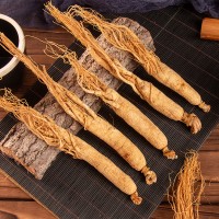 Changbai Mountain Dried white Ginseng Root years whole roots chinese herbal 白人參